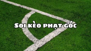 Cách Chơi Kèo Phạt Góc Bóng Đá Chi Tiết Cho Người Mới Hiểu Rõ Luật