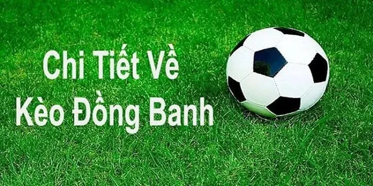 Cách Chơi Kèo Đồng Banh Hiệu Quả Và Mẹo Soi Kèo Chuẩn Cho Người Mới