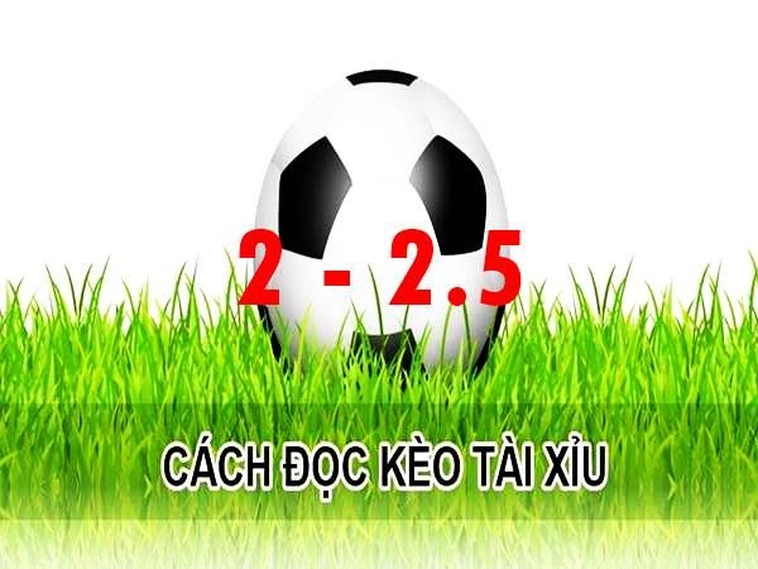 Cách Chơi Kèo 2.25 Chi Tiết Cho Người Mới Và Bí Quyết Thắng Lớn