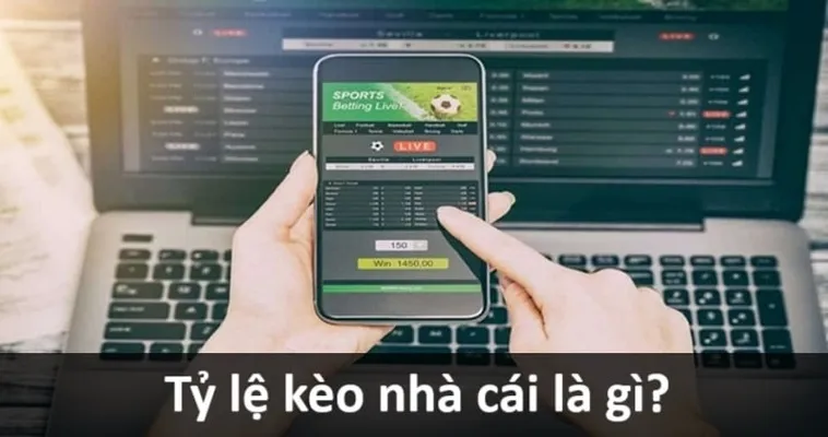 Hiểu Đúng Về Kèo Bóng Đá Và Cách Phân Tích Chi Tiết Cho Người Chơi
