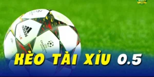 Cách Chơi Kèo Tài Xỉu Hiệu Quả Cho Người Mới Bắt Đầu Cá Cược Bóng Đá