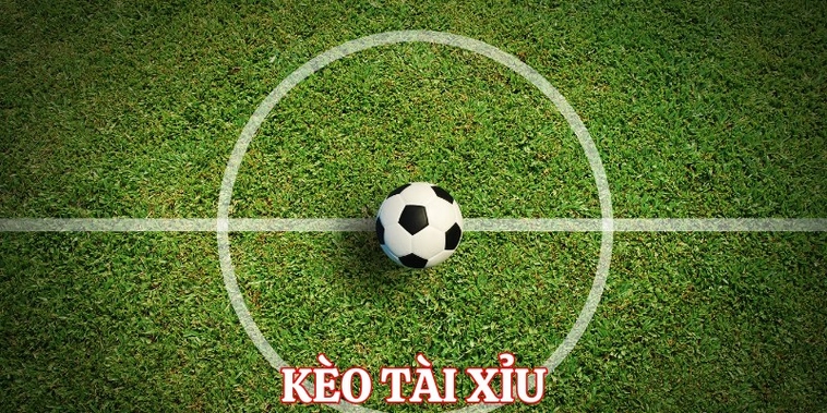 Cách Chơi Kèo Tài Xỉu Bóng Đá Hiệu Quả Cho Người Mới Và Cao Thủ