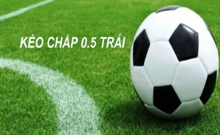 Cách Chơi Kèo Chấp 0.5 Hiệu Quả Và Chính Xác Cho Người Mới