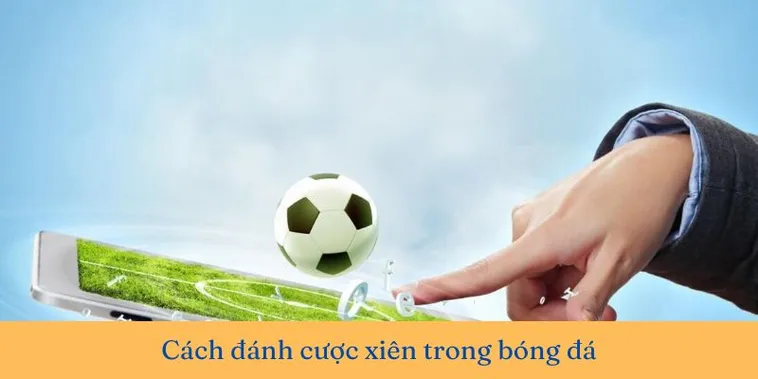 Cách Chơi Kèo Xiên Trong Bóng Đá Chuẩn Xác Và Hiệu Quả Cao Nhất
